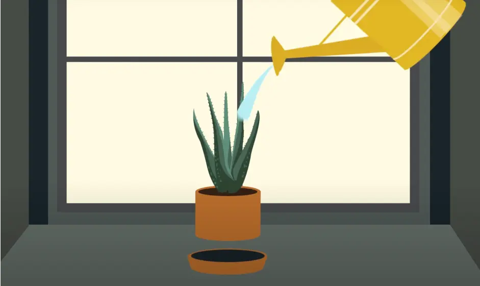 Finished vector of a houseplant with a book sliding into view in front of it