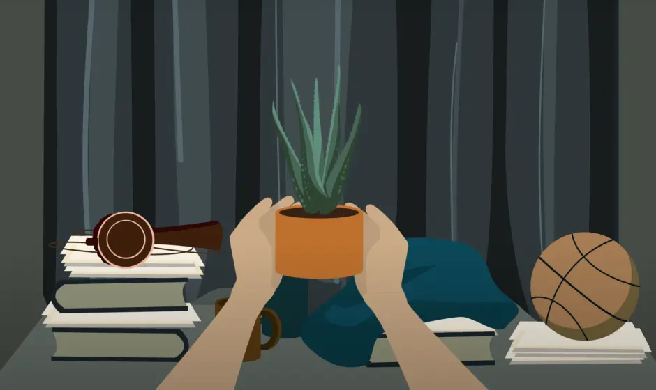 Finished vector of a houseplant in front of a cluttered window with curtains shut