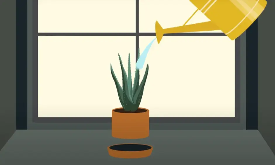 Start Growing Your Own Houseplants cover photo