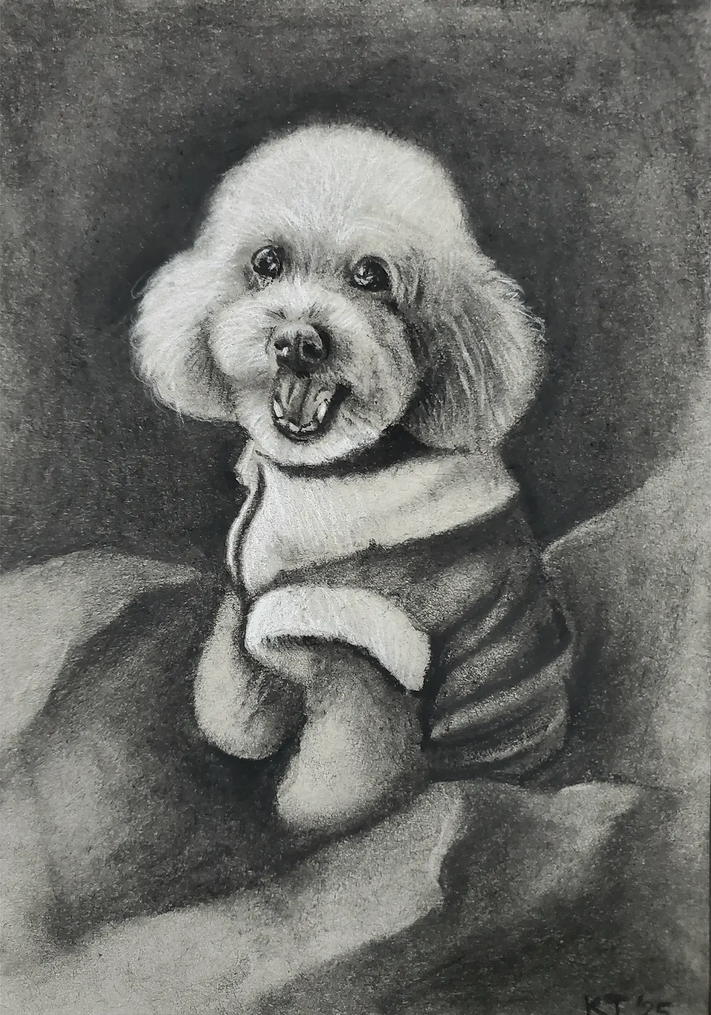 Charcoal drawing of a dog on toned paper.